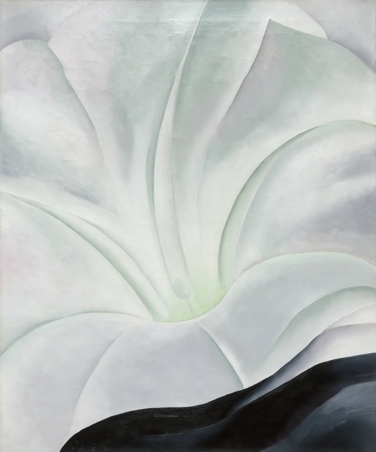 Vertical oil painting of a single pale morning glory trumpet filling the upper canvas, with a solid black wedge occupying the lower right and bottom edge against a muted sage ground.