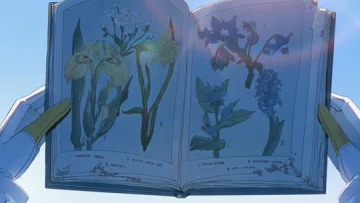 Pulse in Flora