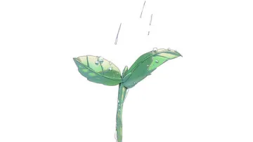 Pulse in Flora